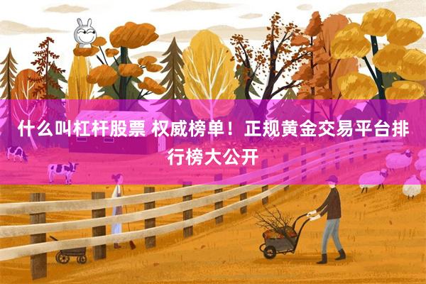 什么叫杠杆股票 权威榜单！正规黄金交易平台排行榜大公开