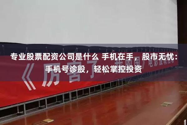 专业股票配资公司是什么 手机在手，股市无忧：手机号诊股，轻松掌控投资