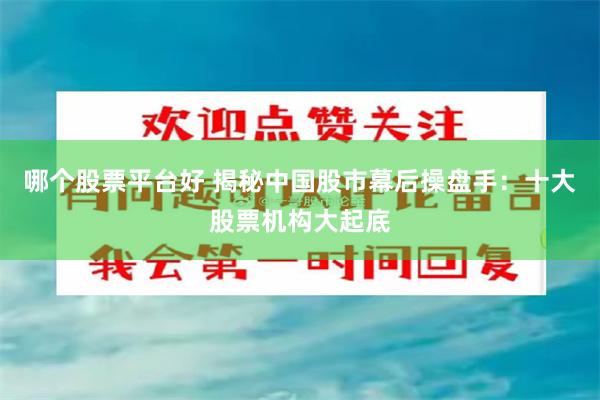 哪个股票平台好 揭秘中国股市幕后操盘手：十大股票机构大起底