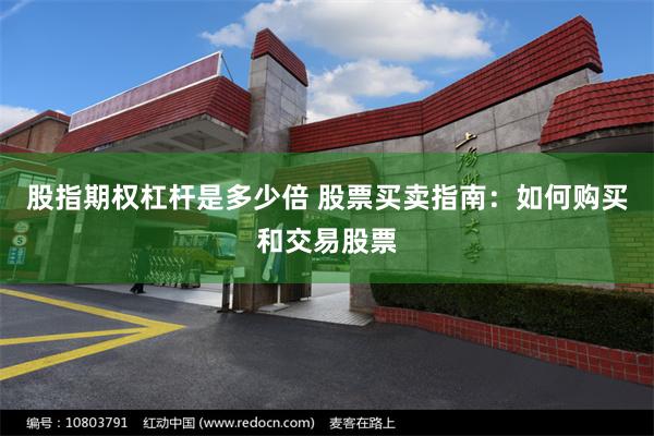 股指期权杠杆是多少倍 股票买卖指南：如何购买和交易股票
