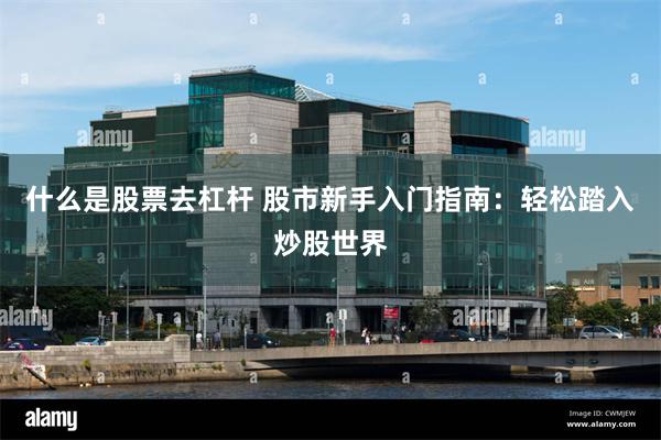 什么是股票去杠杆 股市新手入门指南：轻松踏入炒股世界