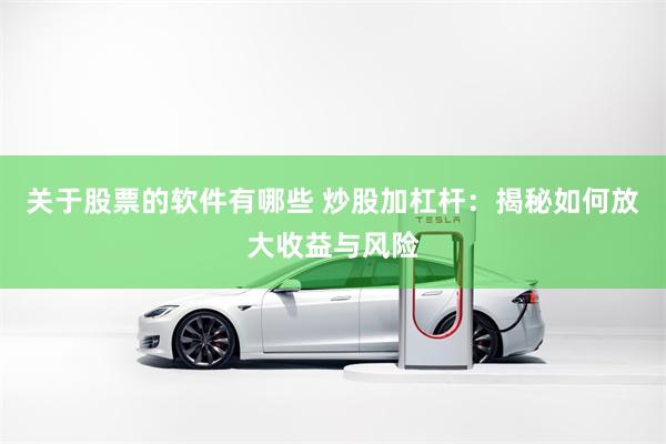 关于股票的软件有哪些 炒股加杠杆：揭秘如何放大收益与风险
