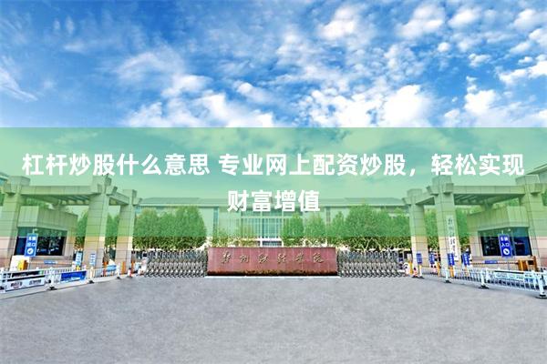 杠杆炒股什么意思 专业网上配资炒股，轻松实现财富增值