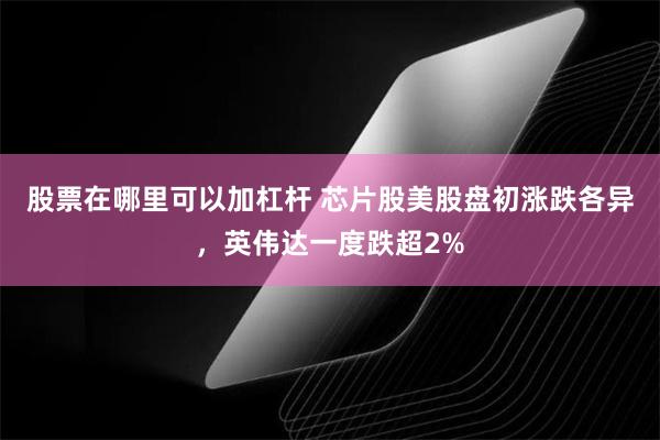 股票在哪里可以加杠杆 芯片股美股盘初涨跌各异，英伟达一度跌超2%