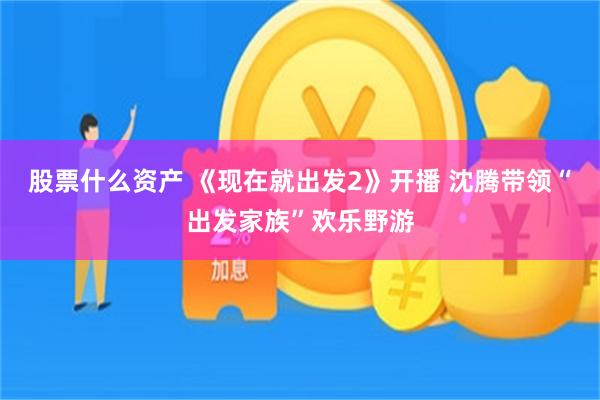 股票什么资产 《现在就出发2》开播 沈腾带领“出发家族”欢乐野游