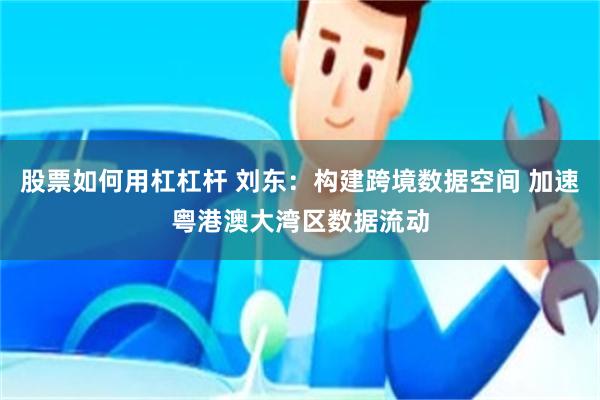 股票如何用杠杠杆 刘东：构建跨境数据空间 加速粤港澳大湾区数据流动