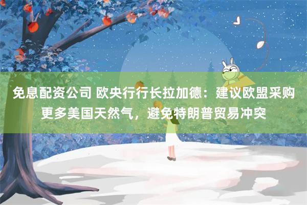 免息配资公司 欧央行行长拉加德：建议欧盟采购更多美国天然气，避免特朗普贸易冲突