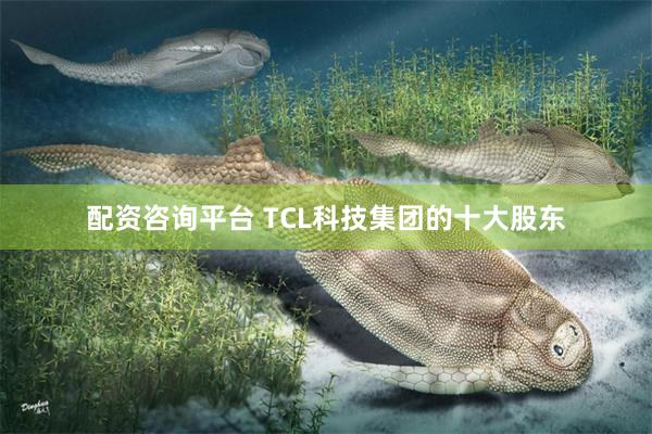 配资咨询平台 TCL科技集团的十大股东