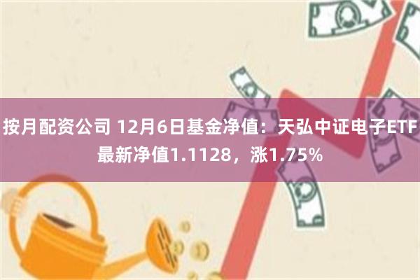按月配资公司 12月6日基金净值：天弘中证电子ETF最新净值1.1128，涨1.75%