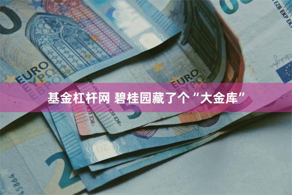基金杠杆网 碧桂园藏了个“大金库”