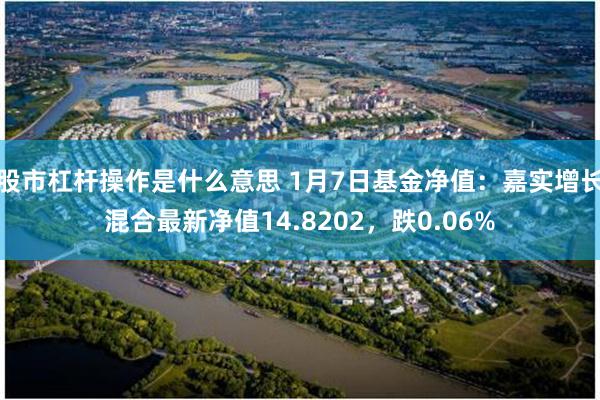 股市杠杆操作是什么意思 1月7日基金净值：嘉实增长混合最新净值14.8202，跌0.06%