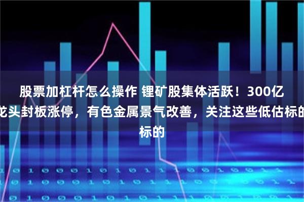 股票加杠杆怎么操作 锂矿股集体活跃！300亿龙头封板涨停，有色金属景气改善，关注这些低估标的