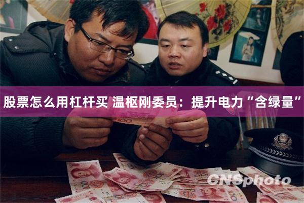 股票怎么用杠杆买 温枢刚委员：提升电力“含绿量”