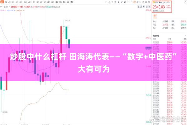 炒股中什么杠杆 田海涛代表――“数字+中医药”大有可为
