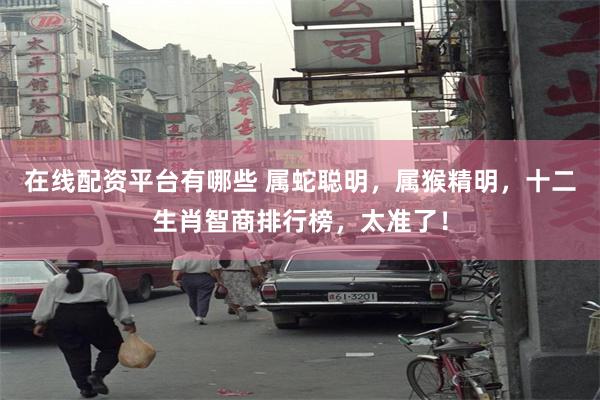在线配资平台有哪些 属蛇聪明，属猴精明，十二生肖智商排行榜，太准了！