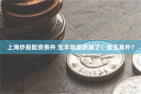 上海炒股配资条件 宝丰能源跌麻了！金玉其外？