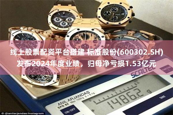 线上股票配资平台搭建 标准股份(600302.SH)发布2024年度业绩，归母净亏损1.53亿元