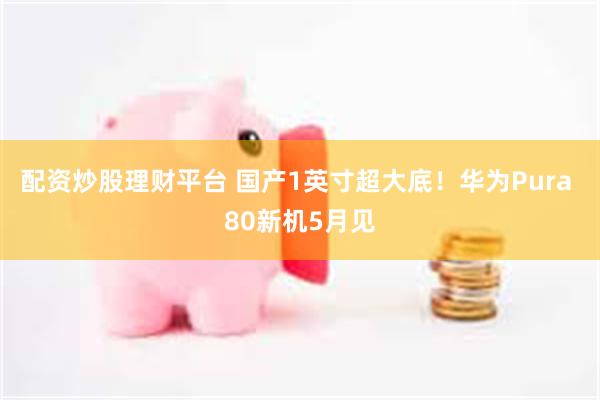 配资炒股理财平台 国产1英寸超大底！华为Pura 80新机5月见