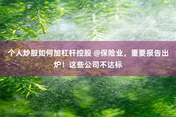 个人炒股如何加杠杆控股 @保险业，重要报告出炉！这些公司不达标