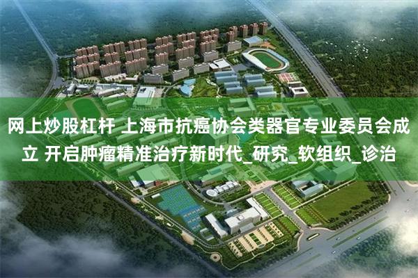 网上炒股杠杆 上海市抗癌协会类器官专业委员会成立 开启肿瘤精准治疗新时代_研究_软组织_诊治