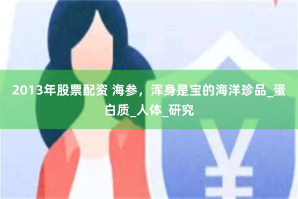 2013年股票配资 海参，浑身是宝的海洋珍品_蛋白质_人体_研究