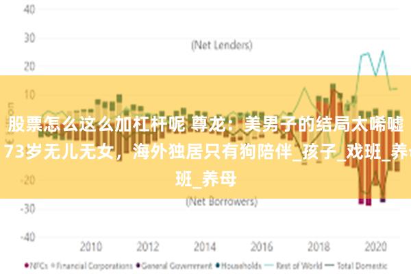 股票怎么这么加杠杆呢 尊龙：美男子的结局太唏嘘，73岁无儿无女，海外独居只有狗陪伴_孩子_戏班_养母