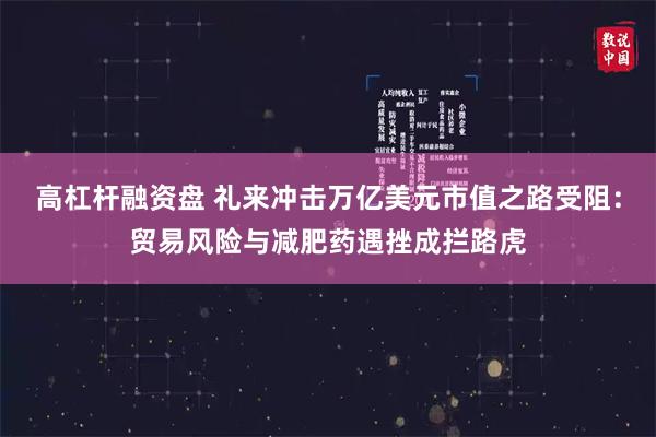 高杠杆融资盘 礼来冲击万亿美元市值之路受阻：贸易风险与减肥药遇挫成拦路虎
