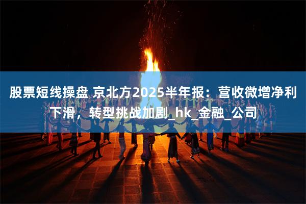 股票短线操盘 京北方2025半年报：营收微增净利下滑，转型挑战加剧_hk_金融_公司