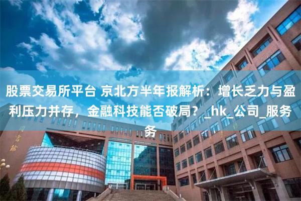 股票交易所平台 京北方半年报解析：增长乏力与盈利压力并存，金融科技能否破局？_hk_公司_服务