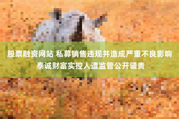 股票融资网站 私募销售违规并造成严重不良影响 泰诚财富实控人遭监管公开谴责