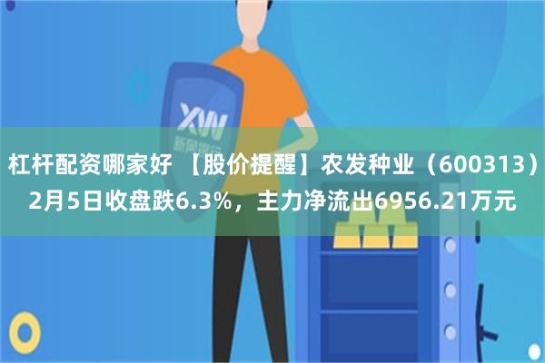 杠杆配资哪家好 【股价提醒】农发种业（600313）2月5日收盘跌6.3%，主力净流出6956.21万元