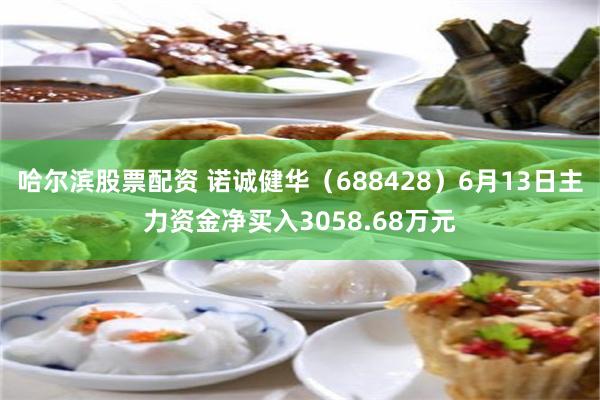 哈尔滨股票配资 诺诚健华（688428）6月13日主力资金净买入3058.68万元