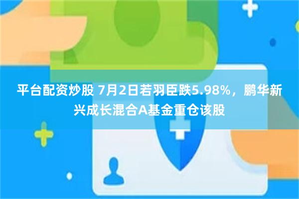 平台配资炒股 7月2日若羽臣跌5.98%,鹏华新兴成长混合A基金重仓该股