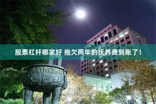 股票杠杆哪家好 拖欠两年的抚养费到账了！