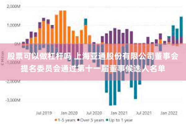 股票可以做杠杆吗 上海亚通股份有限公司董事会提名委员会通过第十一届董事候选人名单