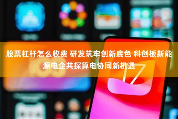 股票杠杆怎么收费 研发筑牢创新底色 科创板新能源电企共探算电协同新机遇
