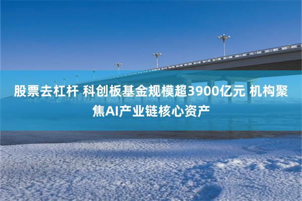 股票去杠杆 科创板基金规模超3900亿元 机构聚焦AI产业链核心资产