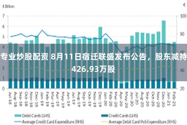 专业炒股配资 8月11日宿迁联盛发布公告，股东减持426.93万股