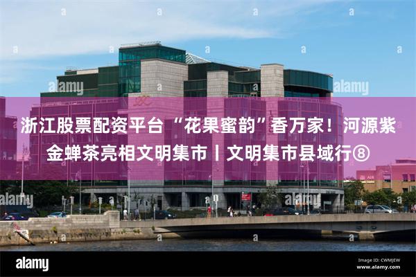 浙江股票配资平台 “花果蜜韵”香万家！河源紫金蝉茶亮相文明集市丨文明集市县域行⑧