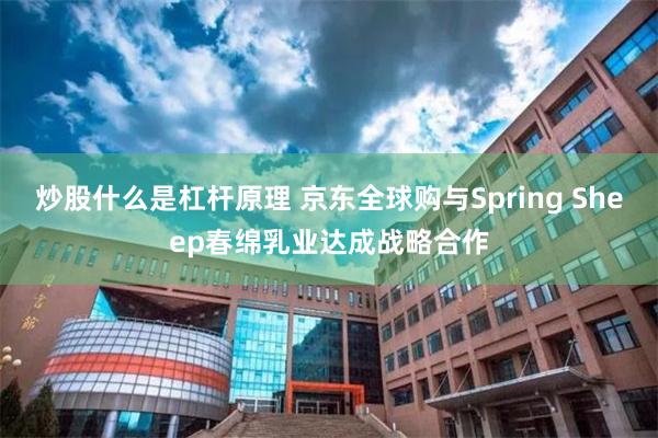 炒股什么是杠杆原理 京东全球购与Spring Sheep春绵乳业达成战略合作