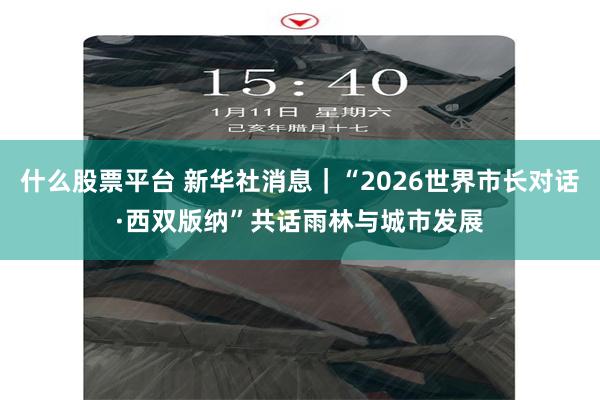 什么股票平台 新华社消息｜“2026世界市长对话·西双版纳”共话雨林与城市发展