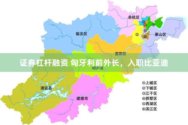 证券杠杆融资 匈牙利前外长，入职比亚迪