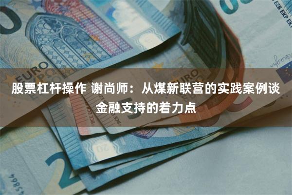 股票杠杆操作 谢尚师：从煤新联营的实践案例谈金融支持的着力点