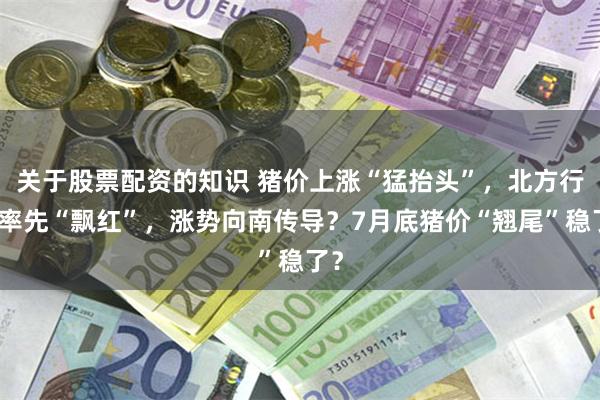 关于股票配资的知识 猪价上涨“猛抬头”,北方行情率先“飘红”,涨势向南传导?7月底猪价“翘尾”稳了?