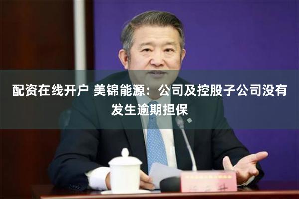 配资在线开户 美锦能源:公司及控股子公司没有发生逾期担保