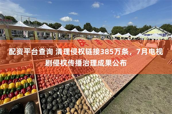 配资平台查询 清理侵权链接385万条，7月电视剧侵权传播治理成果公布