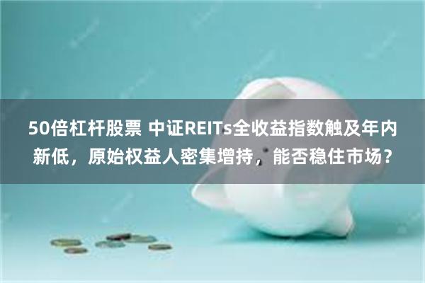 50倍杠杆股票 中证REITs全收益指数触及年内新低，原始权益人密集增持，能否稳住市场？