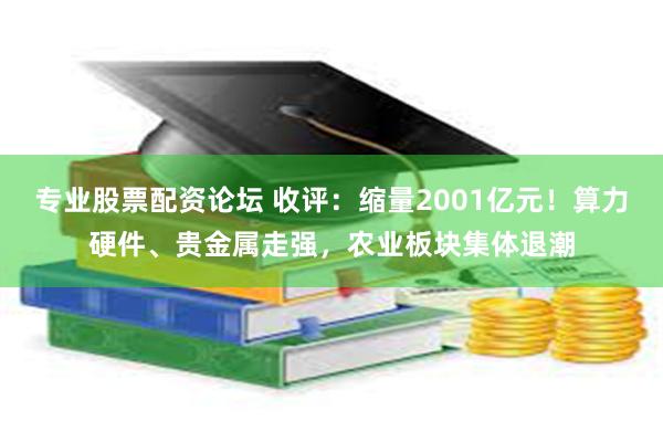 专业股票配资论坛 收评：缩量2001亿元！算力硬件、贵金属走强，农业板块集体退潮