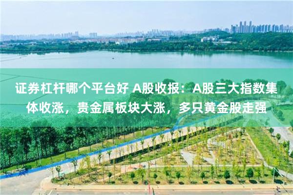 证券杠杆哪个平台好 A股收报：A股三大指数集体收涨，贵金属板块大涨，多只黄金股走强