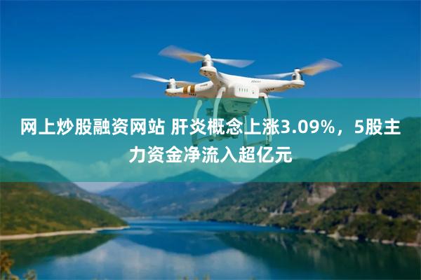 网上炒股融资网站 肝炎概念上涨3.09%，5股主力资金净流入超亿元